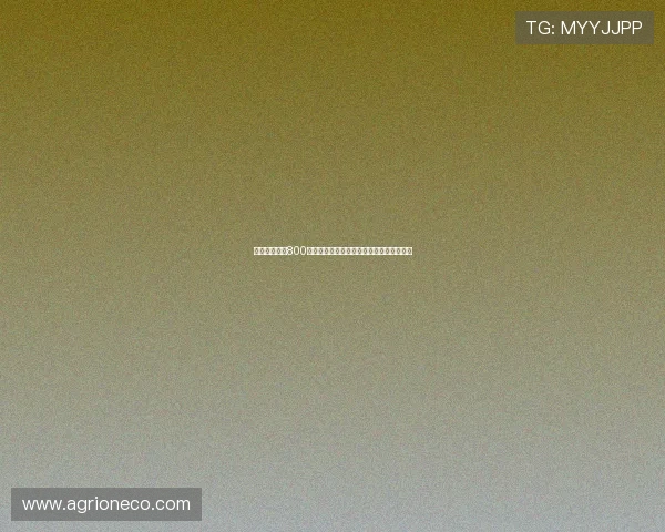 西汉姆联报价800万欧引进博塔弗戈门将维克托转会计划曝光