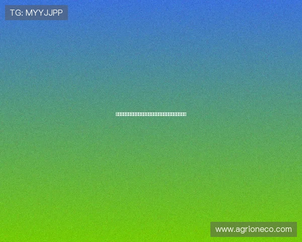 赫拉德马丁谈邓弗里斯对抗：对我而言那次冲突完全是犯规主导